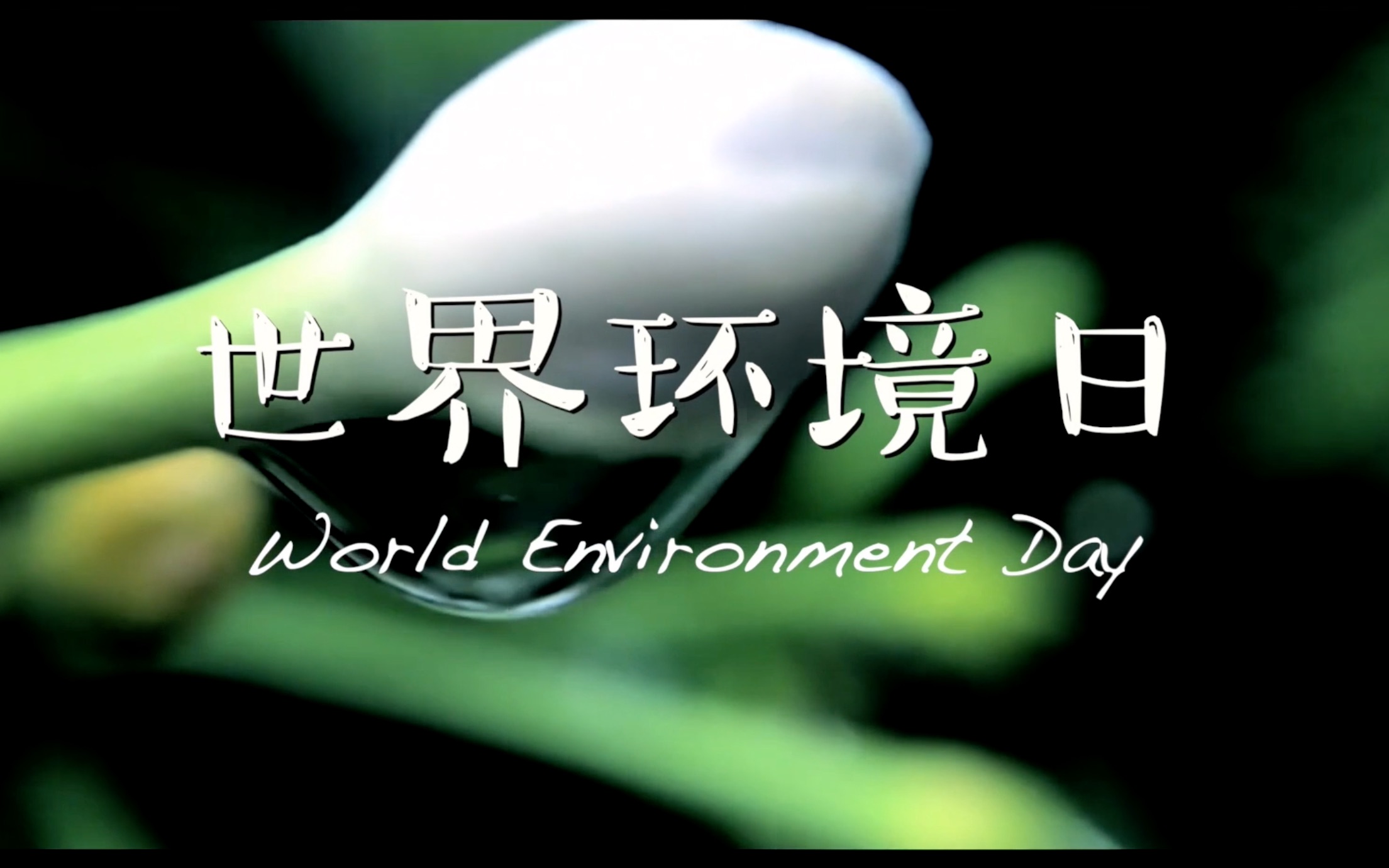 这次,我们来保护环境