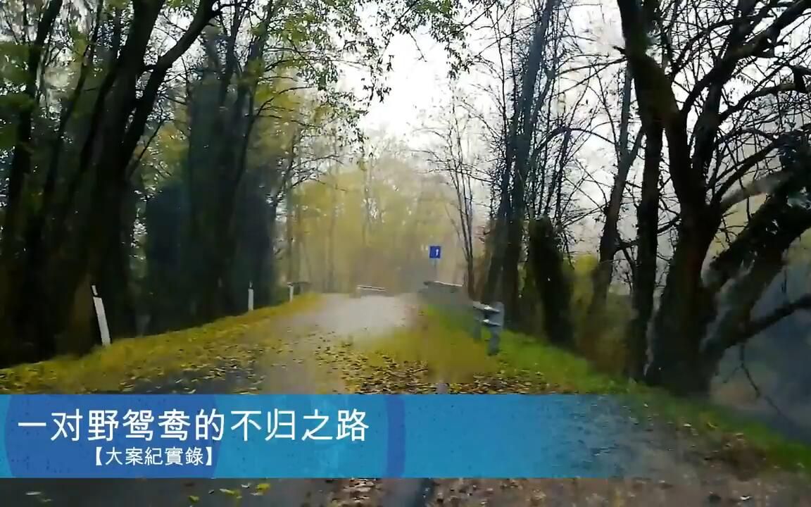 【大案纪实】一条不归路哔哩哔哩bilibili