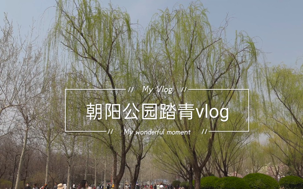 北京朝阳公园踏青vlog哔哩哔哩bilibili