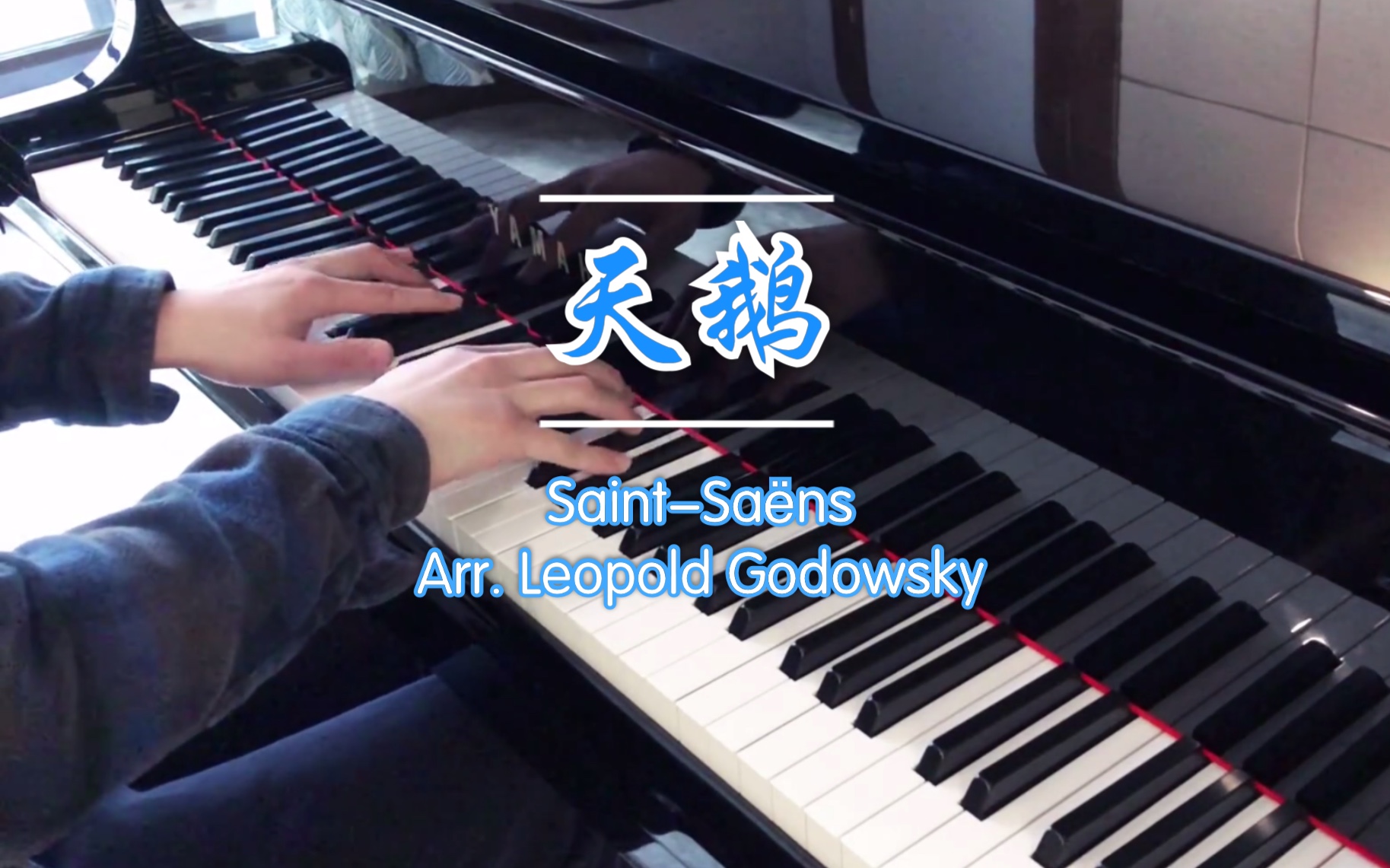 [图]【钢琴】《天鹅》圣桑/戈多夫斯基改编 The Swan（Le Cygne）Saint-Saëns/Arr. Godowsky