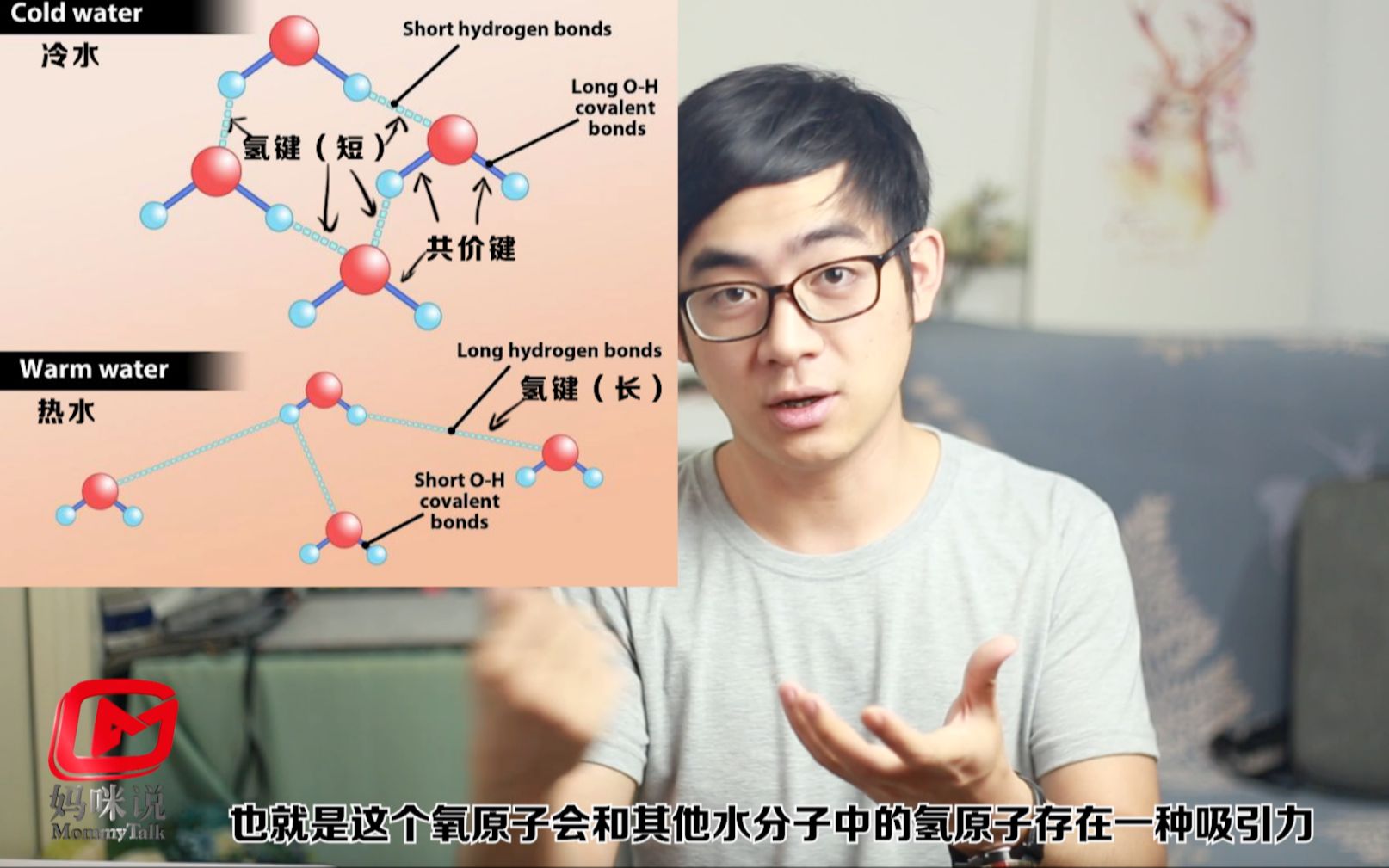 热水和冷水哪个先结冰?五分钟了解违反常识的姆潘巴现象 妈咪叔用物理方法教你快速制备一杯冰水哔哩哔哩bilibili