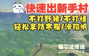 Download Video: 【塞尔达·旷野之息】小白快速出新手村