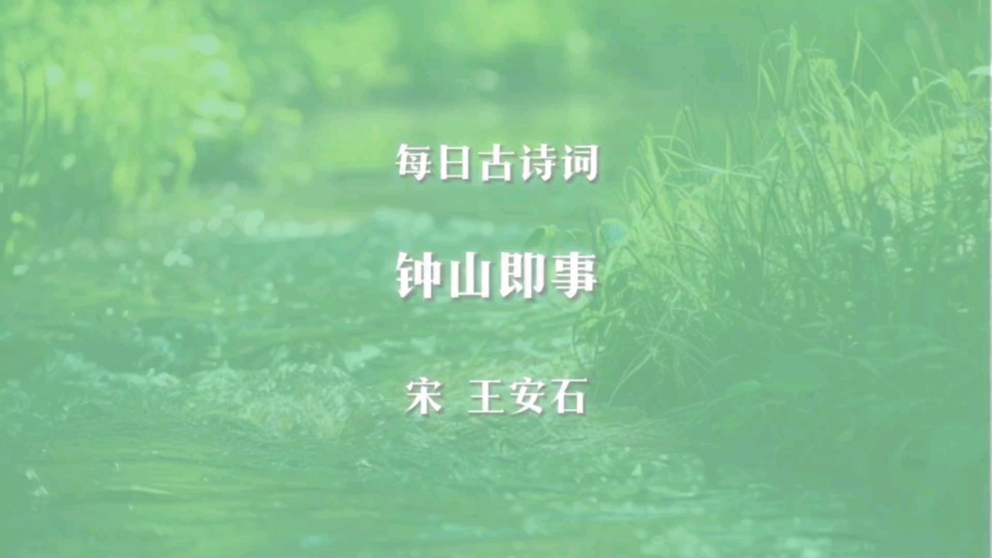 每日古诗词:钟山即事
