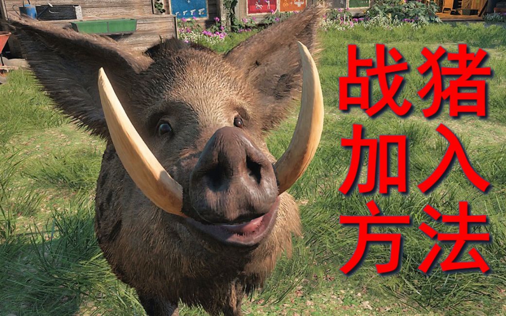 孤岛惊魂:新曙光 - "战猪"招募方法