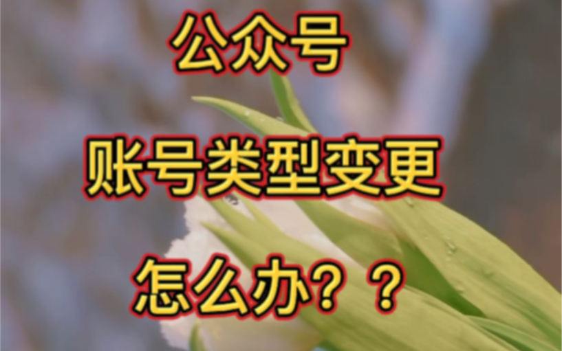 账号类型变更怎么办?怎么做公众号迁移公证?这里有方法哔哩哔哩bilibili