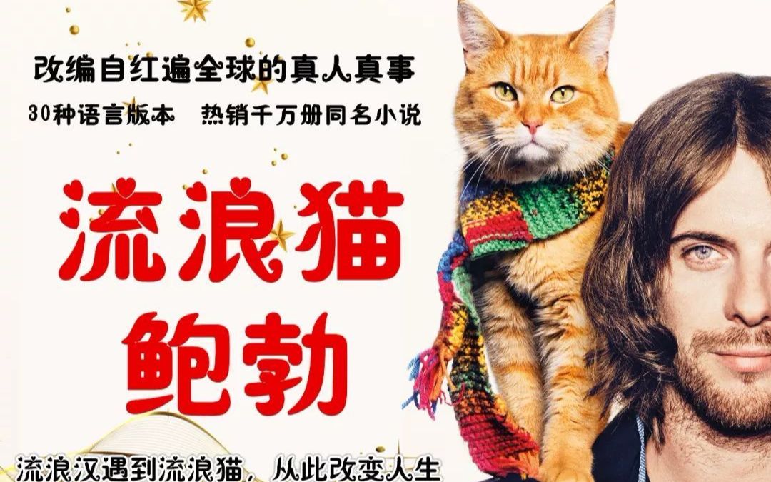 [图]【流浪猫鲍勃】每个人都有第二次生命的机会，我很幸运我抓住了他