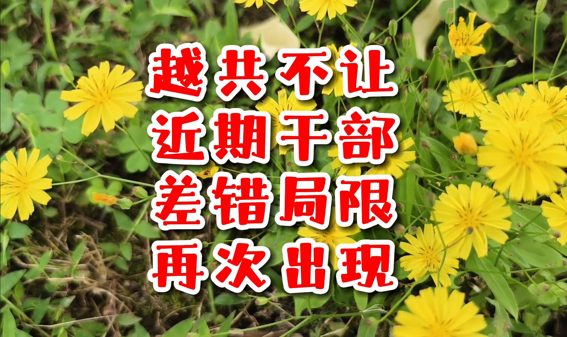 阮富仲指示越共十四大中央、政治局、书记处成员提名工作哔哩哔哩bilibili