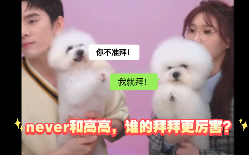 never和高高,谁的拜拜更厉害呢?哔哩哔哩bilibili