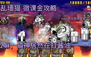 狂乱墙猫 搜索结果 哔哩哔哩 Bilibili
