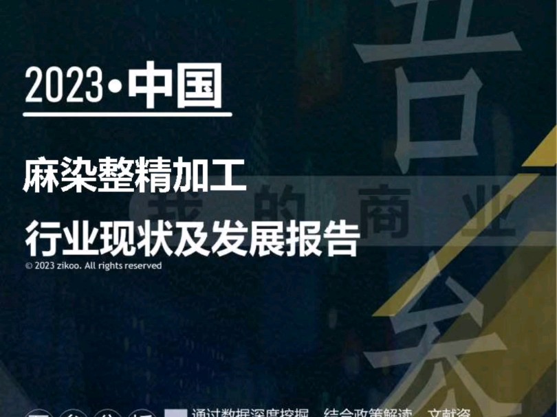 2023年版麻染整精加工行业现状及发展报告哔哩哔哩bilibili