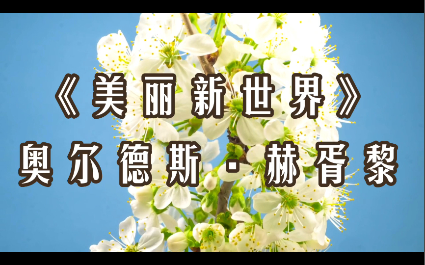 【读书】冲动的洪水 《美丽新世界》奥尔德斯ⷮŠ赫胥黎哔哩哔哩bilibili