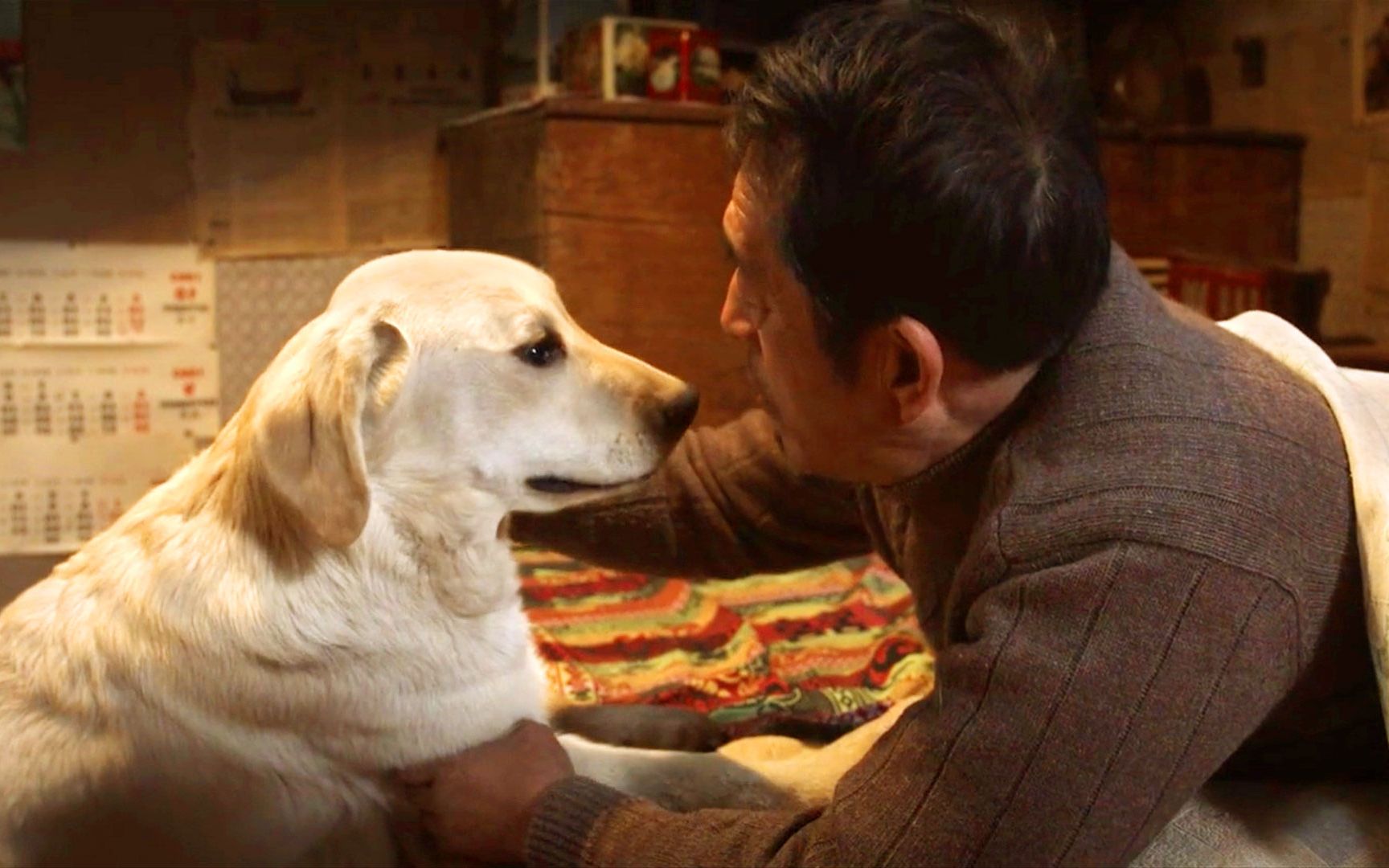 忠爱无言:农村大叔好心收留狗子二货,没想到它就是想上大叔的床