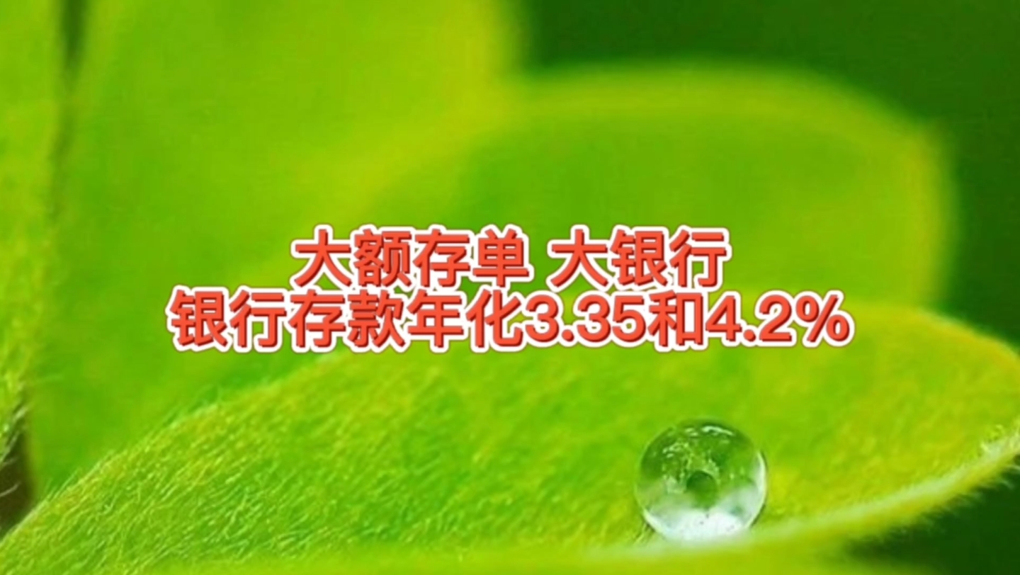 大银行的大额存单,银行存款年化3.35和4.2%,有实力的你会存吗哔哩哔哩bilibili