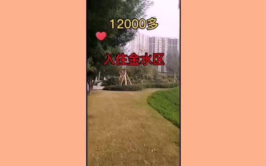 12000多,入住金水区,金二环,你会愿意吗?哔哩哔哩bilibili