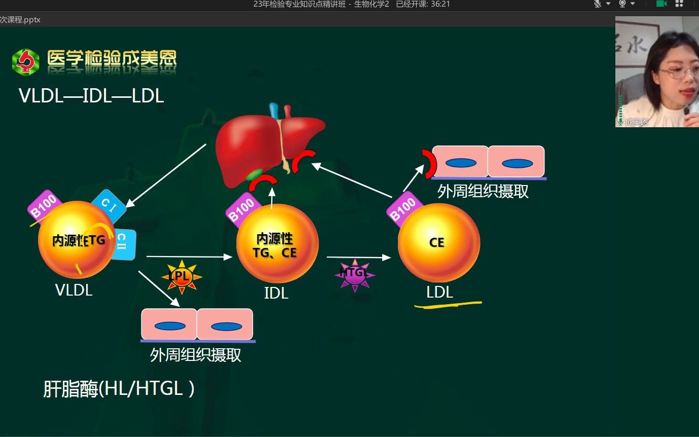 血浆脂蛋白3姐妹!关系怎么样?——医学检验成美恩哔哩哔哩bilibili