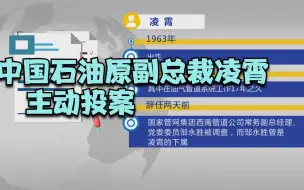 Download Video: 中国石油原副总裁凌霄主动投案