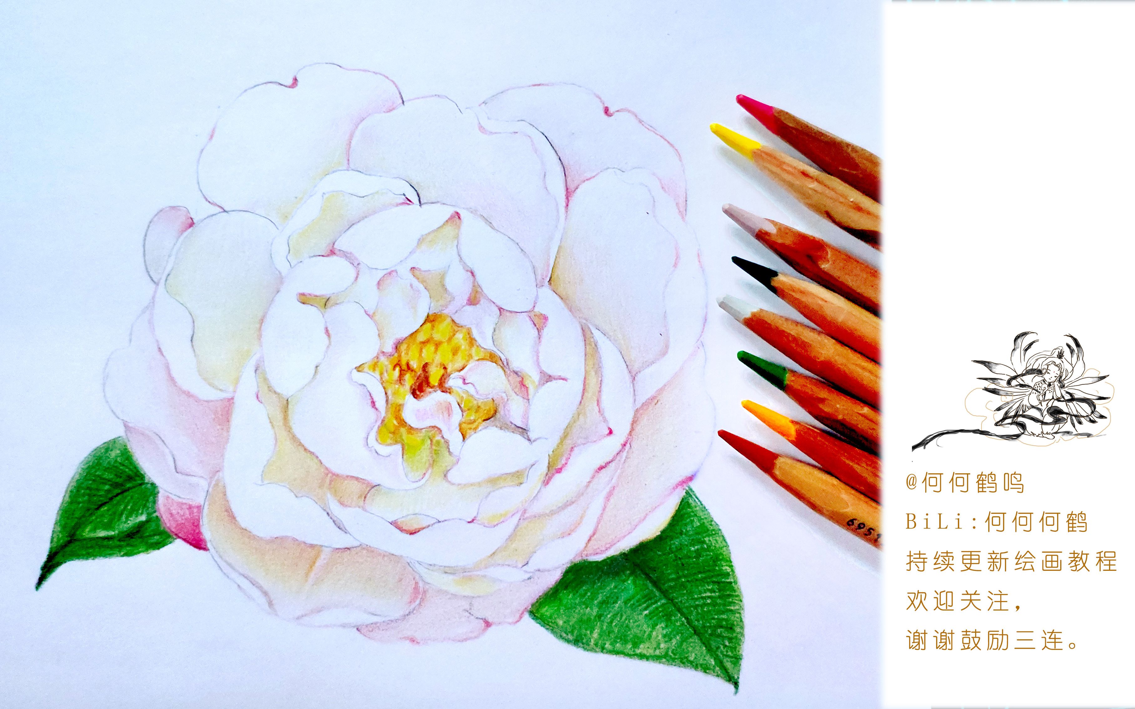 活动作品彩铅手绘教程手绘白色茶花怎么画白色花朵