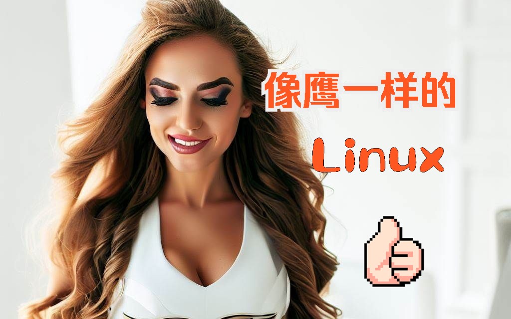 让设计师惊艳的Garuda Linux哔哩哔哩bilibili