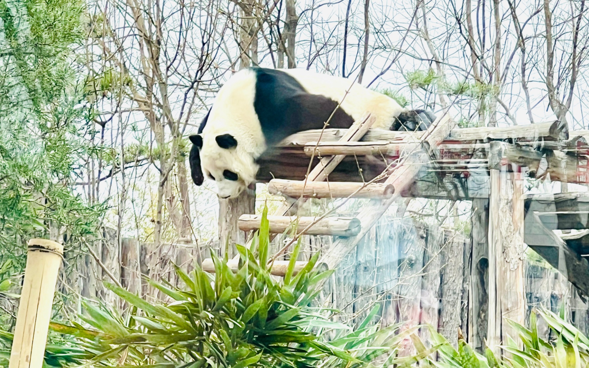 唐山动物园图片
