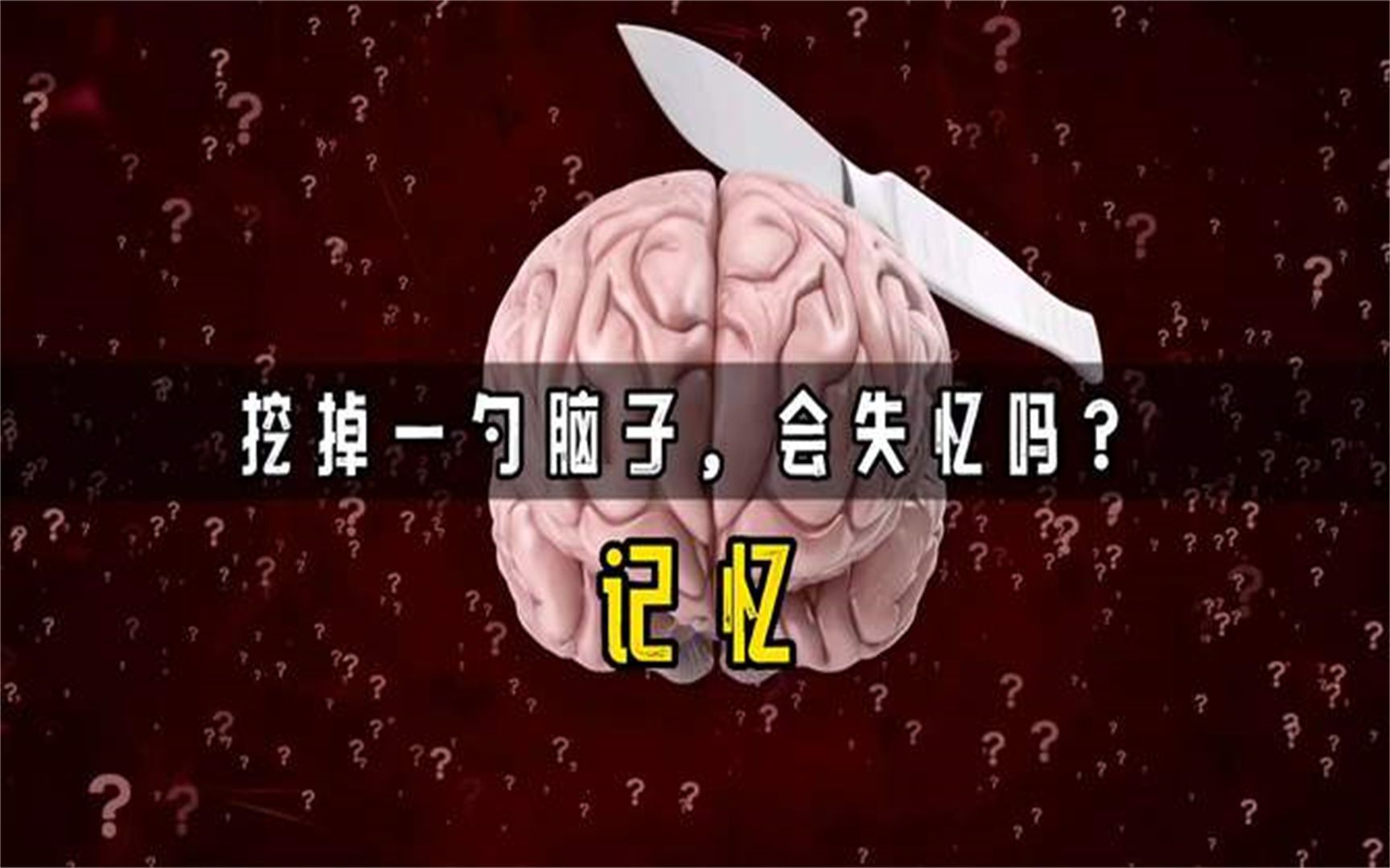 如果你被挖掉一勺脑子,会失去记忆吗 1