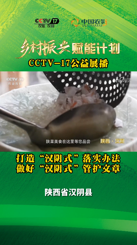 打造“汉阴式”落实办法 做好“汉阴式”管护文章丨CCTV17公益展播哔哩哔哩bilibili