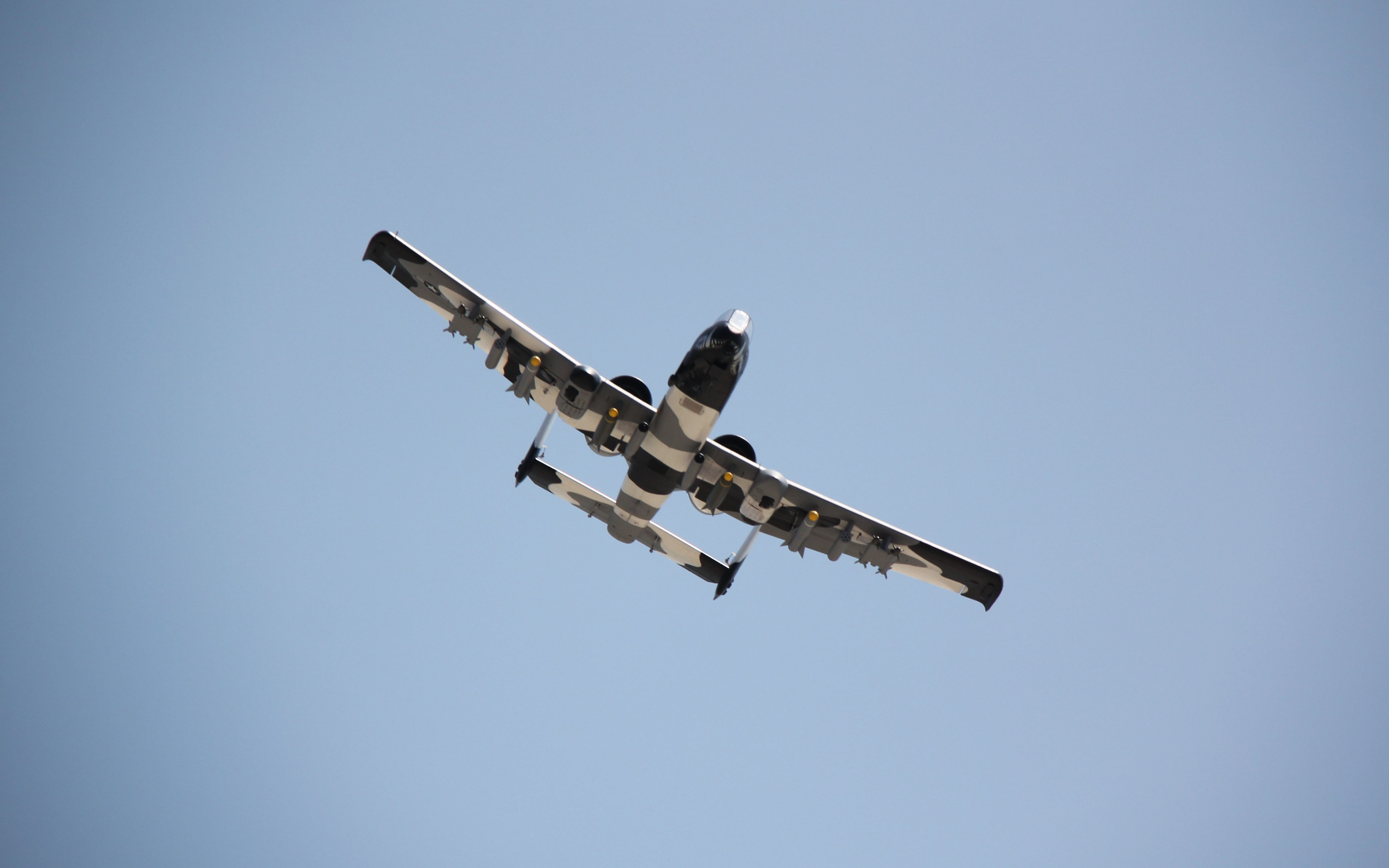 辛巴的好朋友"疣猪" fms a10攻击机_哔哩哔哩_bilibili