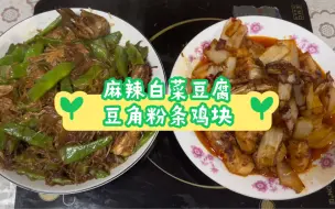 Download Video: 老光棍的快乐生活：麻辣白菜豆腐，豆角粉条鸡块