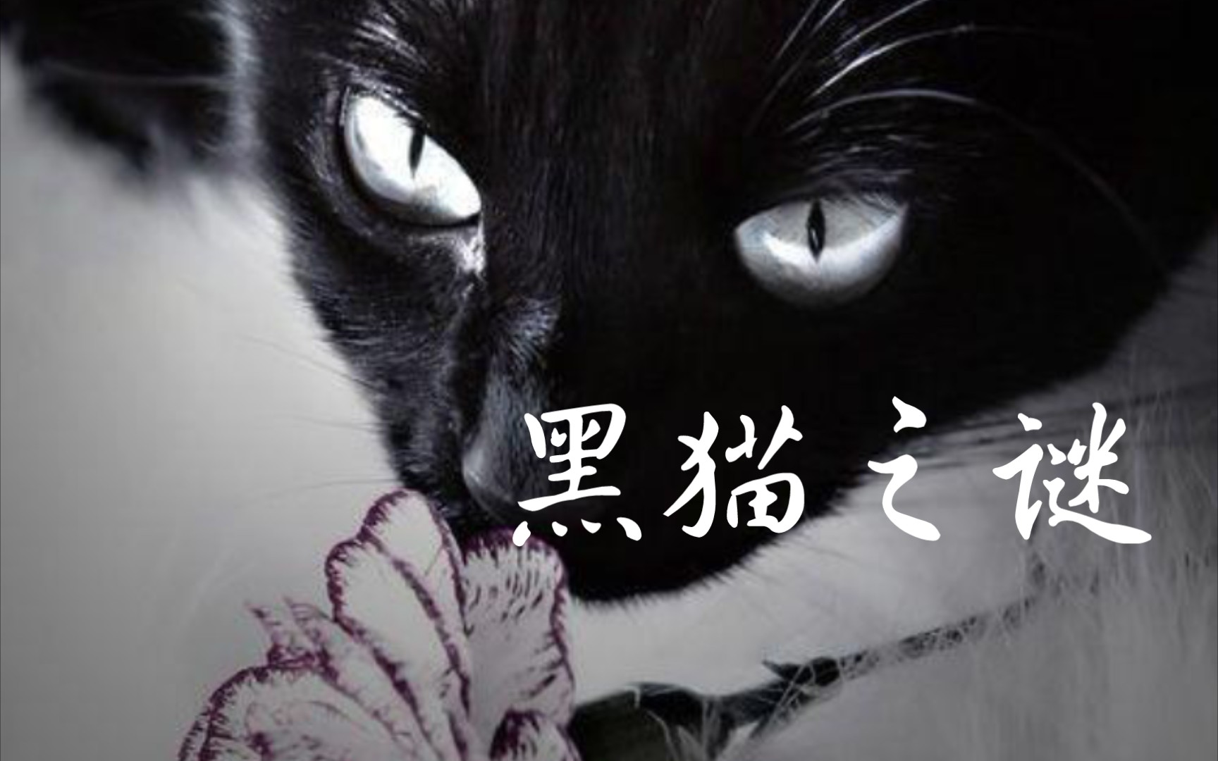 [图]【英式英语悬疑故事朗读】微恐！爱伦坡黑猫之谜