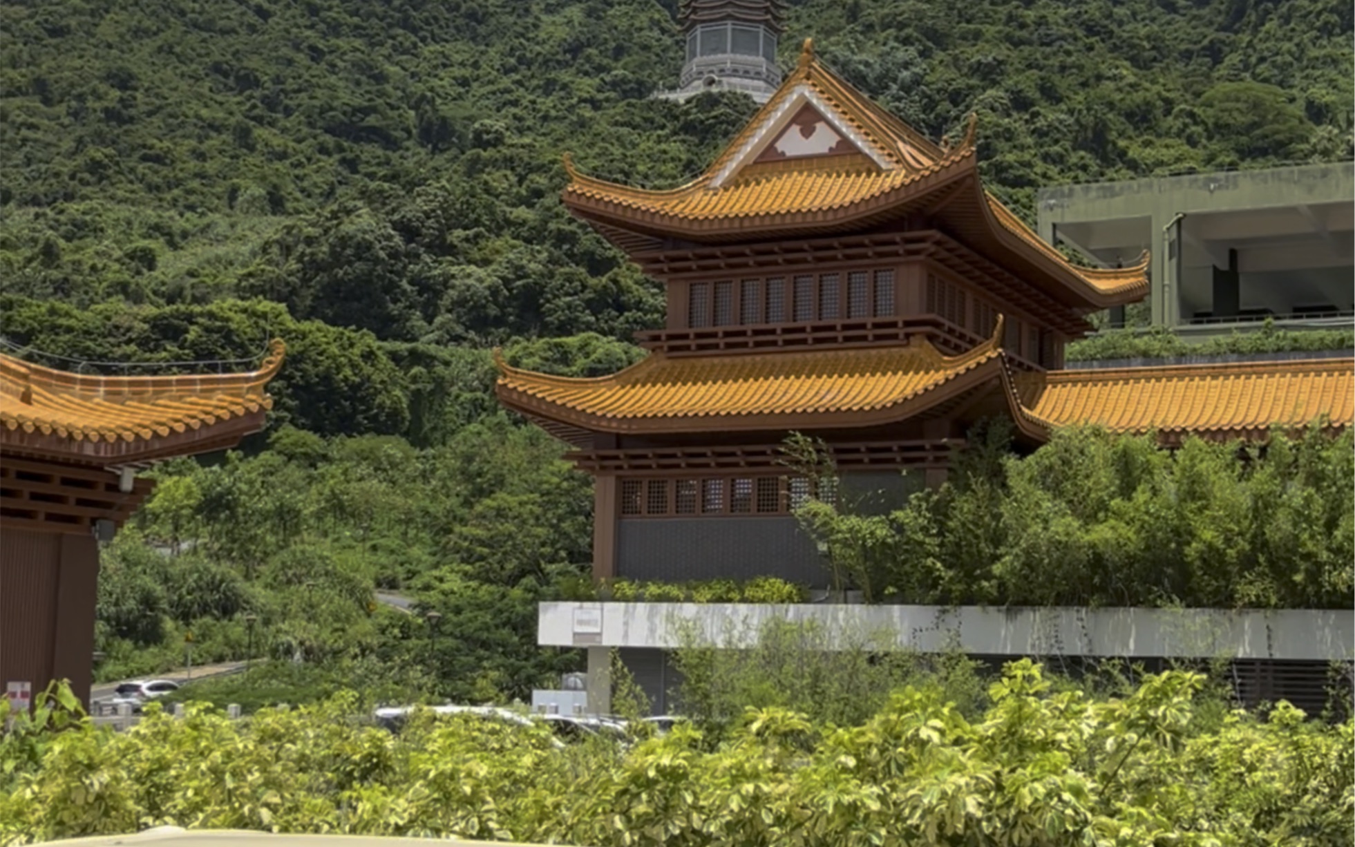 弘法寺仙湖植物园图片