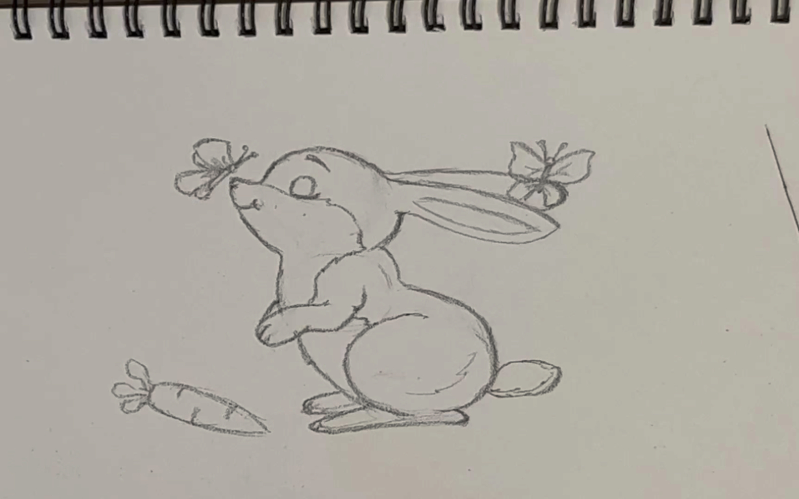 【星星学堂】——云课堂.一起绘画小兔子吧