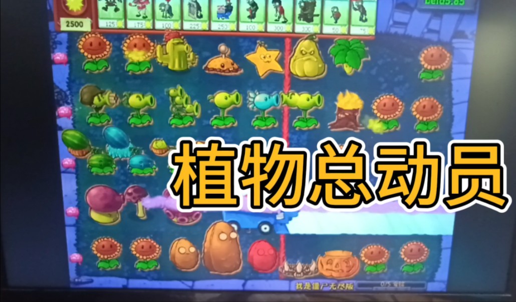 植物家族总动员,单挑这些植物真是轻轻松松简简单单!