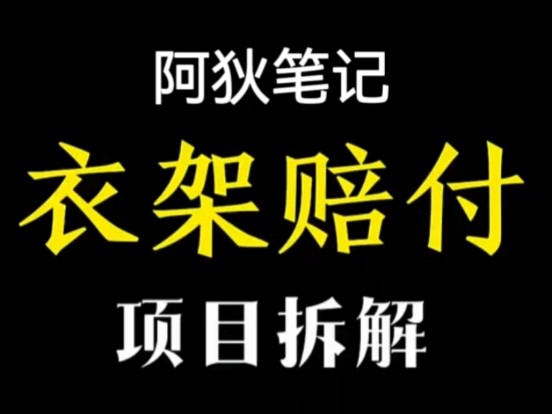 你觉得衣架项目怎么样! #项目拆解 #野路子信息差哔哩哔哩bilibili