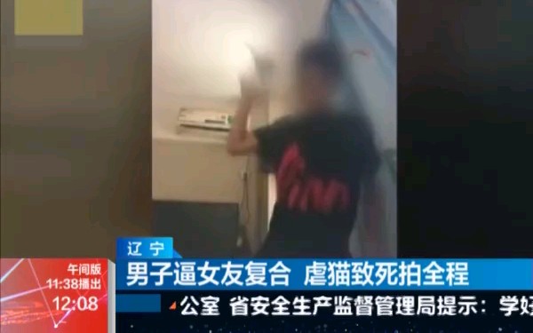 [图]杀不了人就杀猫？为了逼迫女友跟自己复合，他杀死女友的猫并拍全程！