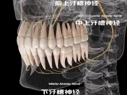 Télécharger la video: 当你拥有一口好牙时……