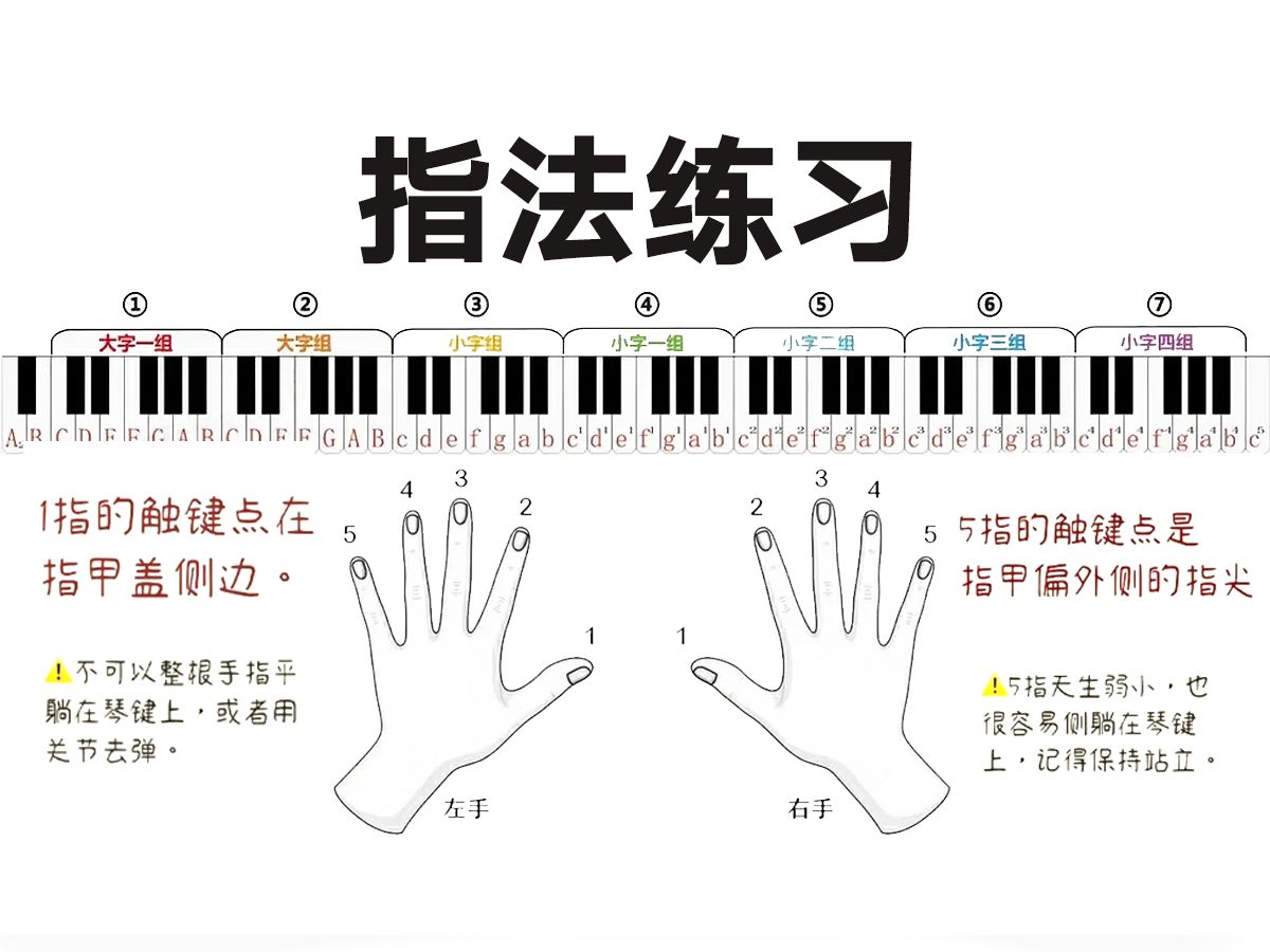 【悦耳钢琴】弹琴手型不规范?手把手带你训练指法!包含100种伴奏手法 | 曲目弹唱 | 超系统练习视频~哔哩哔哩bilibili