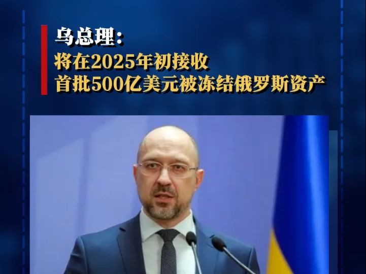 乌总理:将在2025年初接收首批500亿美元被冻结俄罗斯资产哔哩哔哩bilibili