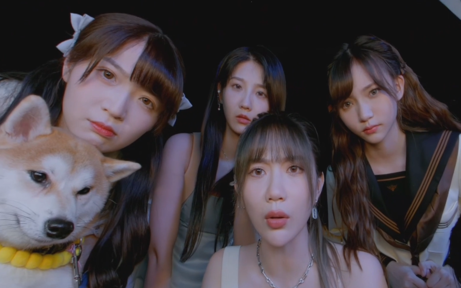 pico x 丝芭传媒 心动呈现 今天由@gnz48-郑丹妮- @gnz48-刘力菲 @gnz