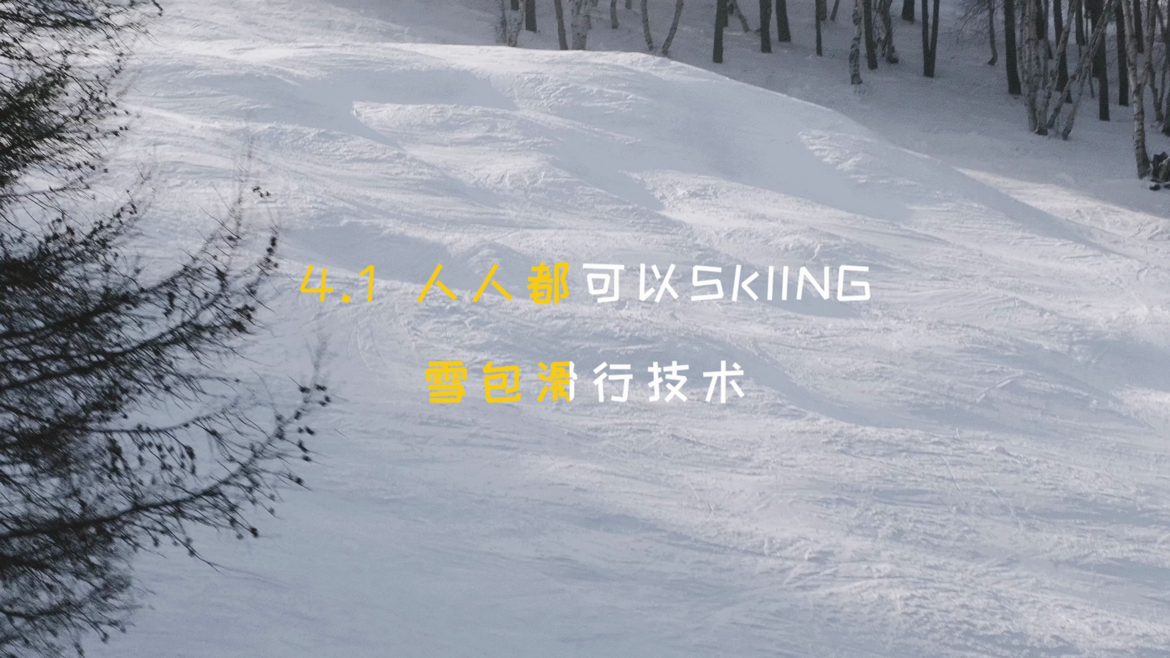 4.1 人人都可以SKIING|雪包技术哔哩哔哩bilibili