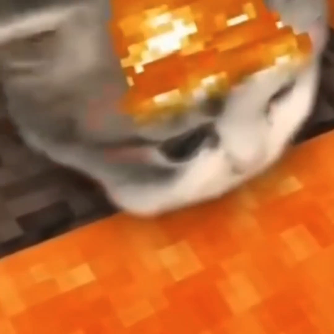 爆笑!猫喝岩浆,结果出乎意料又在意料之中