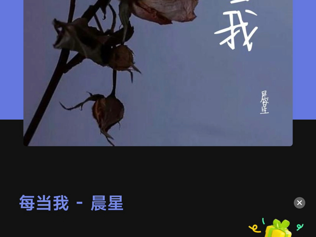 每当我哔哩哔哩bilibili