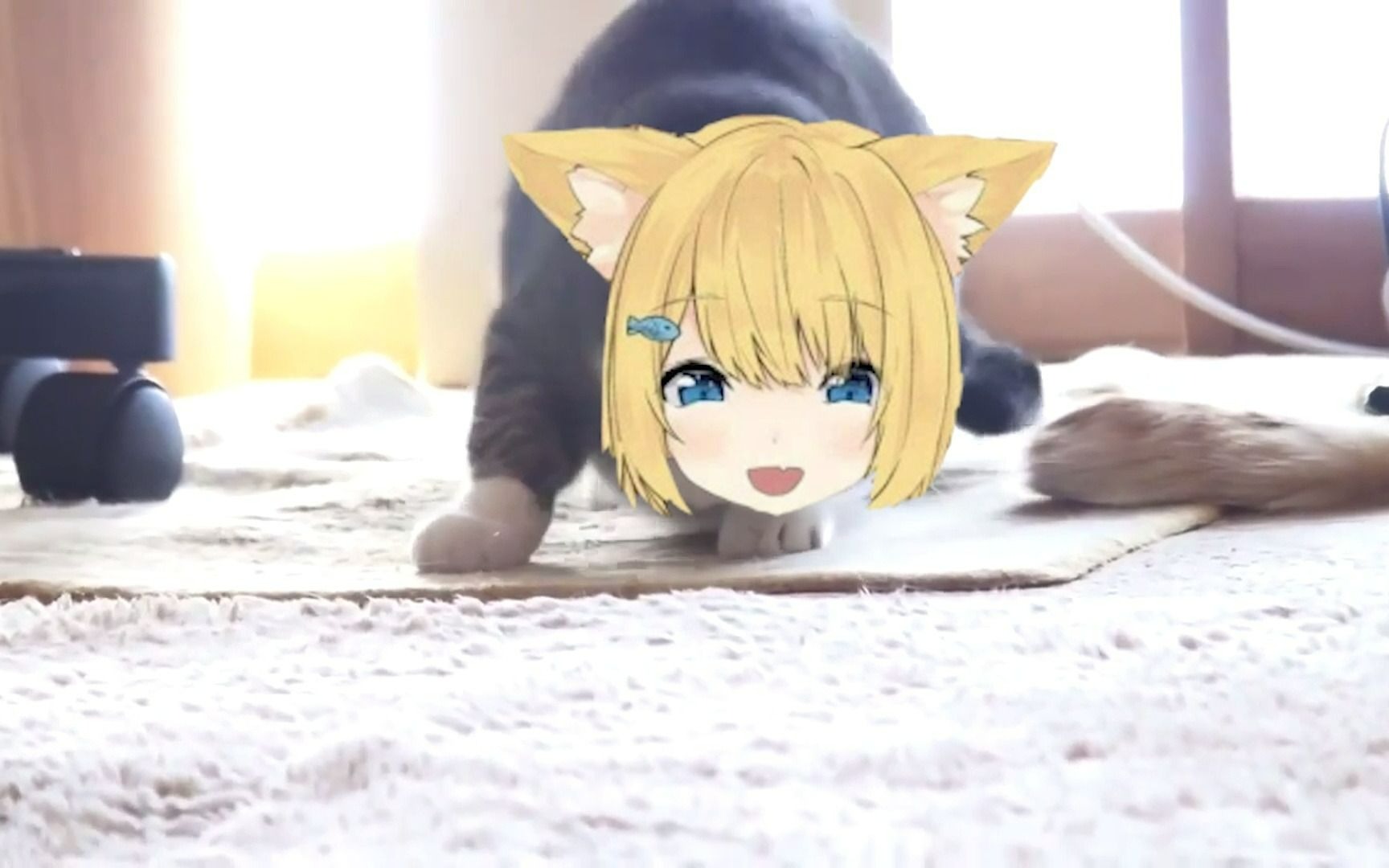 花园serena吊脸猫猫捕食dd