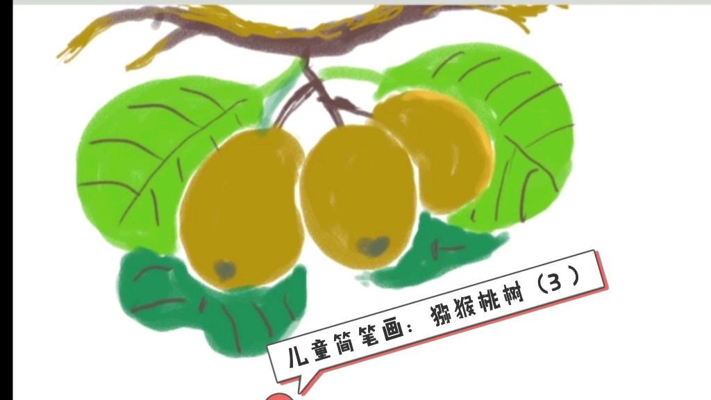 儿童简笔画:猕猴桃树(3)