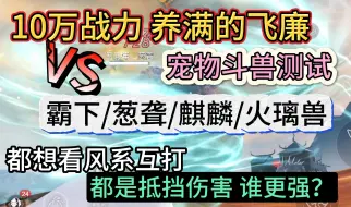 下载视频: 10万战力 养满的飞廉 宠物斗兽测试 VS 霸下/葱聋/麒麟/火璃兽 都想看风系互打 都是抵挡伤害谁更强？