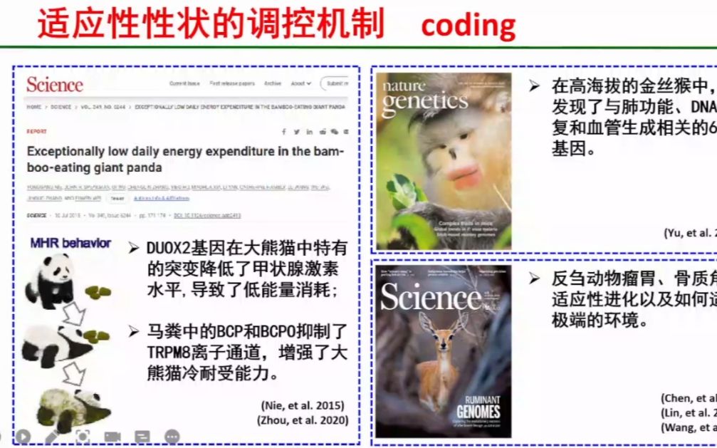 20220109中国科学院施鹏Crosstalk between phenotypic traits and animal adaptation哔哩哔哩bilibili