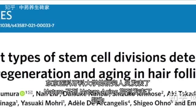 最新研究发现秃头的原因哔哩哔哩bilibili