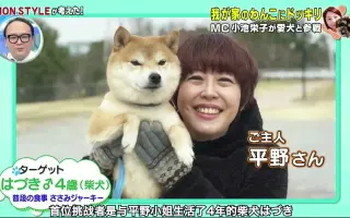 日本整狗企划 哔哩哔哩 Bilibili