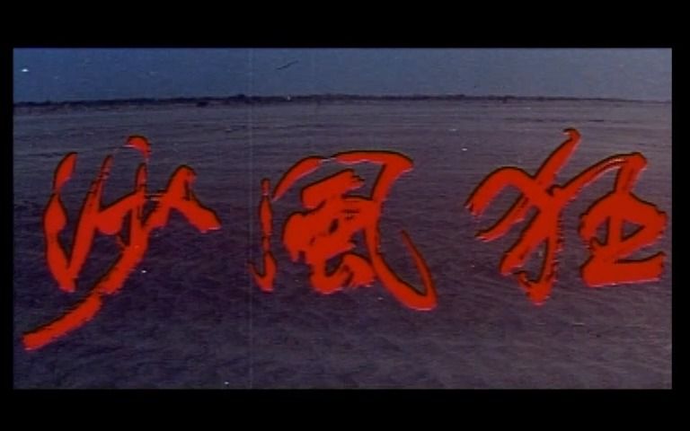 1972王羽电影《狂风沙》歌曲哔哩哔哩bilibili