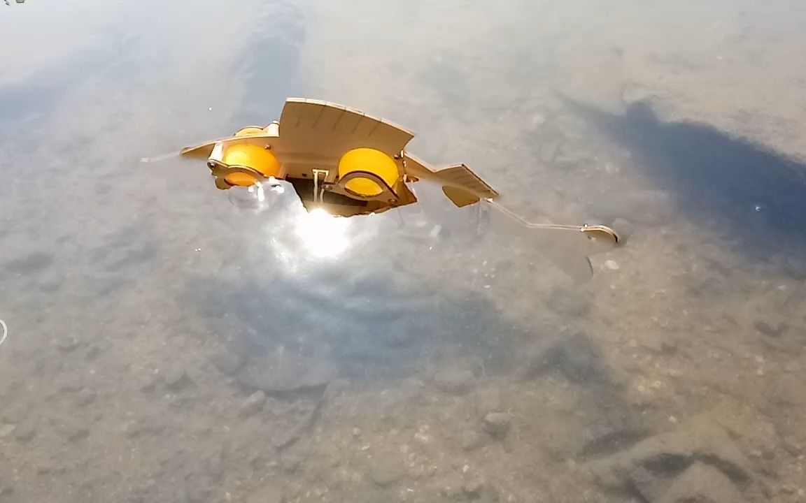 电动仿生机械鱼