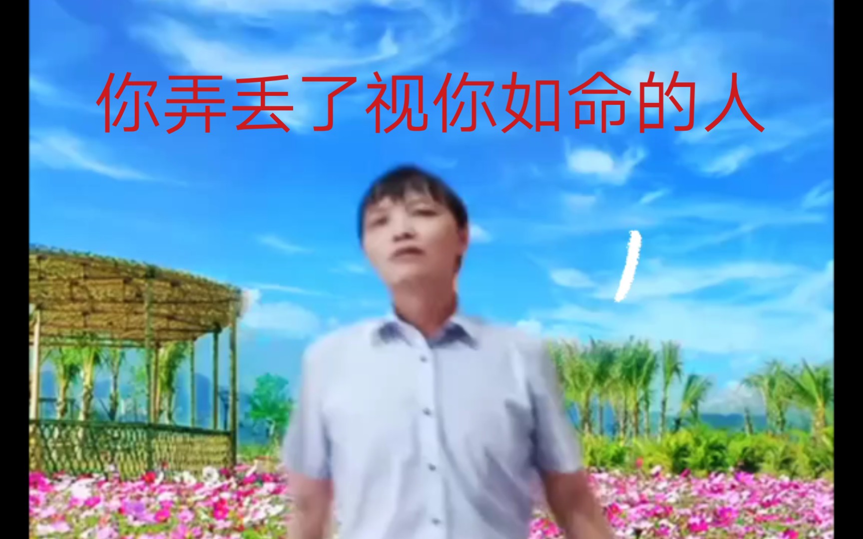 [图]舞曲《你弄丢了视你如命的人》