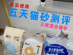 下载视频: 三款猫砂 5天真实使用测评来了～无广 纯自费 真实使用猫砂测评还想看什么猫砂测评 关注我评论区或者私信告诉我